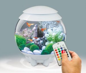 15L Biorb- Halo White