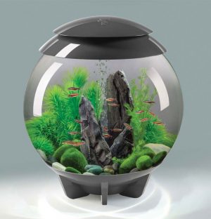 30L Biorb- Halo Grey