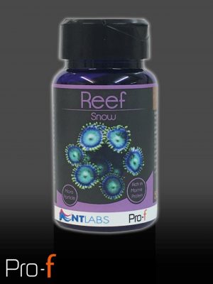 Reef Snow 50g