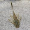 Bristlenose Long Fin Pleco 4/5cm