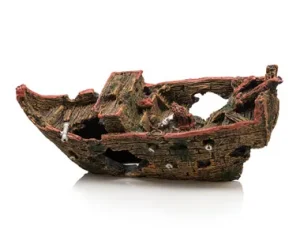 Shipwreak (ORN582)