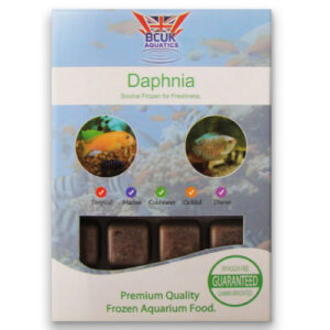 Frozen Daphnia (11 packs)