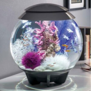 Aquariums