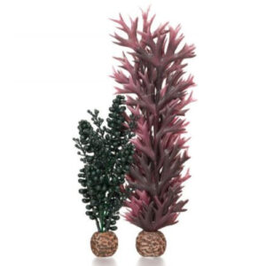 Biorb Seapearls and kelp small