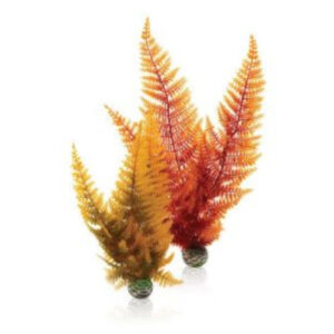 Biorb Autumn Fern