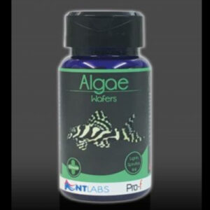 Pro- F Algae Wafer 40g