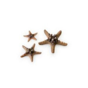 Biorb Sea Star Natural set 3