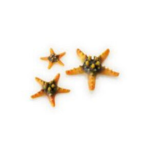 Biorb Sea Star Yellow set 3