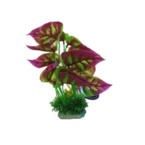 Betta Choice 8" Green and Pink Plant