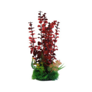 Betta Choice 9" Combi Plastic Plant