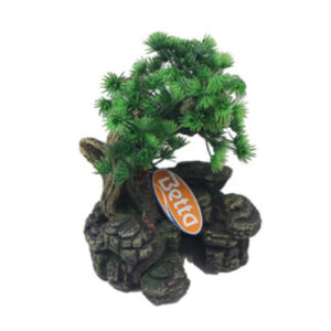 Medium Bonsai with Plant