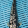 11" Hand Selected Koi Carp Gin Rin Bekko (10C09)