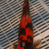 14-16" Hand Selected Koi Carp Hi Utsuri (11A12)