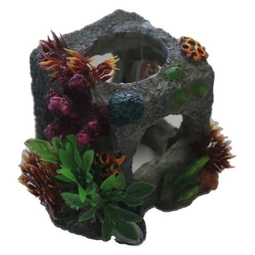 Coral Block