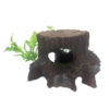 Medium Tree Stump and Plants