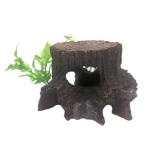 Medium Tree Stump and Plants