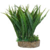 Betta Choice 4" Green Plant with Sand Base