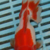High Quality Oranda 13-15cm (BL531)   