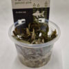 Cryptocoryne Petchii Pink in Vitro gel cup