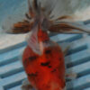High Quality Ryukin 9-11cm (BL437)