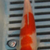 5-6'' Hand Selected Koi Carp (KC12)