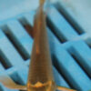 3-4''  Hand Selected Butterfly Koi (BK75)