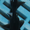 5-6cm High Quality Telescopic Eye Fantail (RR211)