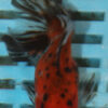 8-9cm High Quality Moor (AM277)