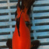 High Quality Moor 13-15cm (AM213)