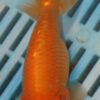 High Quality Ranchu 11-13cm (AM336)